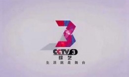 cctv3 在线观看