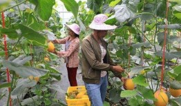 宾阳网红吃瓜,揭秘网络热点背后的故事