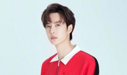 娱乐爆料吴露是谁,吴露是谁？揭秘神秘人物背后的故事