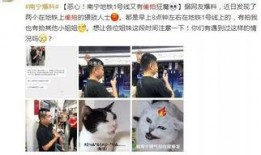 偷拍爆料事件视频网站下载,视频网站下载事件背后的真相