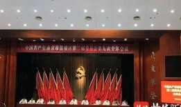 南京近期爆料新闻视频最新,神秘事件视频引发网友热议