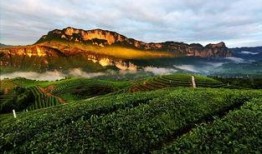 恩施利川最新爆料,揭秘神秘事件背后的真相