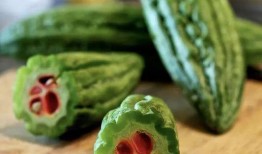 免费吃瓜黄钰杰,揭秘网络红人的崛起之路