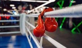 最新拳击爆料网站,最新爆料网站揭秘拳击界惊天秘密