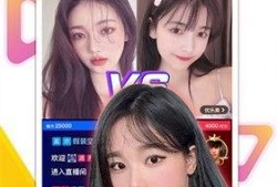 小汤圆被爆料视频大全下载,揭秘网络舆论背后的真相
