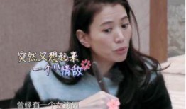 袁咏仪狗仔爆料视频在线观看,揭秘娱乐圈幕后真相