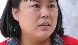 李菁菁最新爆料摔碗事件,揭秘娱乐圈幕后真相