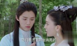 择天记47在线观看,风云变幻，命运抉择！