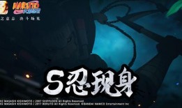 半藏技能视频爆料,视频爆料揭示神秘操作