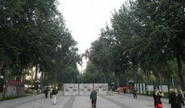 石家庄公园爆料视频,揭秘公园里的不为人知故事