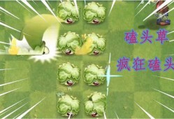 新植物爆料图片大全集视频,图片大全集视频揭秘奇花异草世界