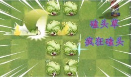 新植物爆料图片大全集视频,图片大全集视频揭秘奇花异草世界