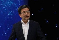 叶飞爆料真实吗视频,揭秘事件真相与内幕