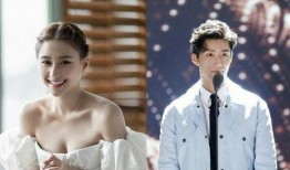 闺蜜爆料何超莲视频,细节揭秘引热议