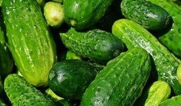 黄瓜农药爆料视频大全,农药爆料视频大全深度解析