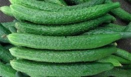 黄瓜农药爆料视频大全,农药爆料视频大全深度解析