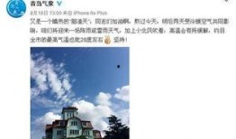 今日青岛爆料最新消息,揭秘神秘事件背后的真相