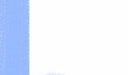 缅北爆料网站黑料视频播放,黑料视频播放背后的真相与影响