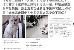 大芝麻爆料铲屎官视频播放,揭秘铲屎官视频背后的趣味与温情