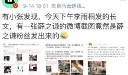 爆料娱乐圈大锤小说,大锤小说揭秘明星幕后真相