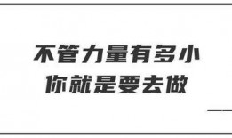 地下室娱乐爆料文案简短,幕后真相大曝光