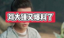爆料娱乐圈大锤小说,大锤小说揭秘明星幕后真相