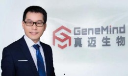 刘炼技能爆料测试视频,揭秘全新游戏玩法与战术策略