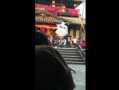晓慧爆料视频大全,揭秘娱乐圈幕后真相