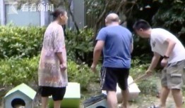 流浪阿姨爆料视频大全,揭开社会现象背后的真相