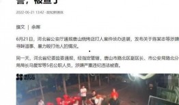 梅州新闻最新爆料赌博案,涉案金额惊人！