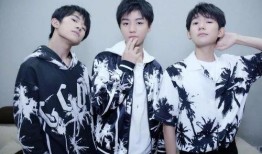tfboys今日爆料,揭秘组合新动向与未来计划