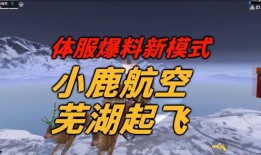 小鹿爆料开挂视频,揭秘开挂视频背后的真相与内幕